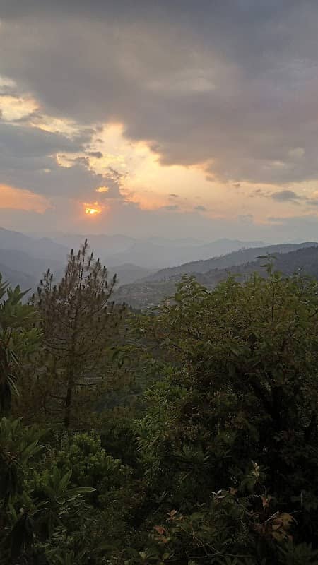 Chari uttarakhand nandparyaag ghat - Image 2