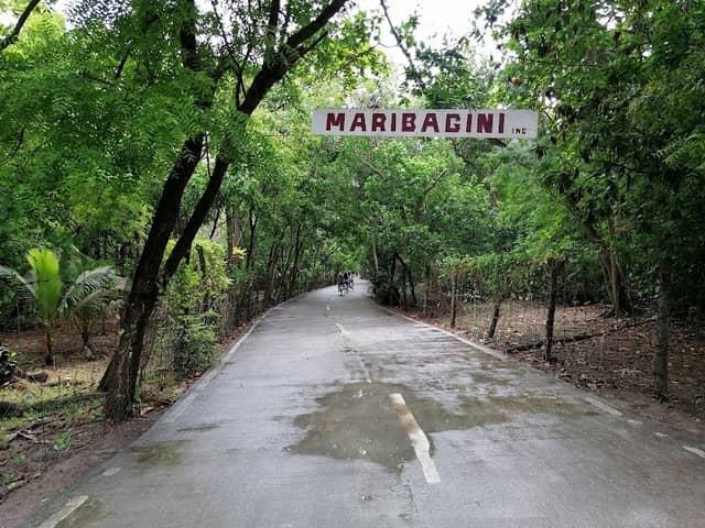 Maribagini - Image 1