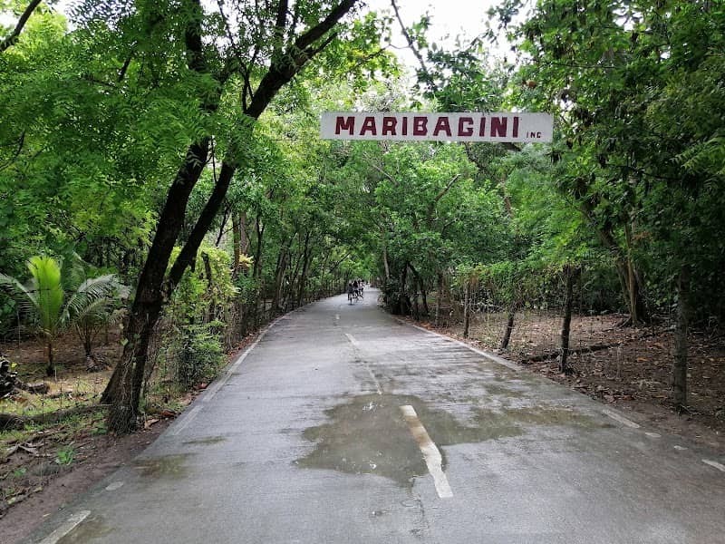 Maribagini - Image 1
