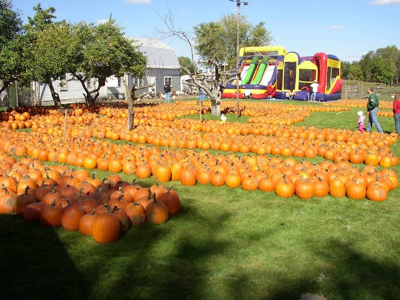 Meadowbrook Pumpkin Farm,& Market & Snowplowing - Image 1