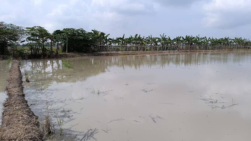 Ladang Anto - Image 1