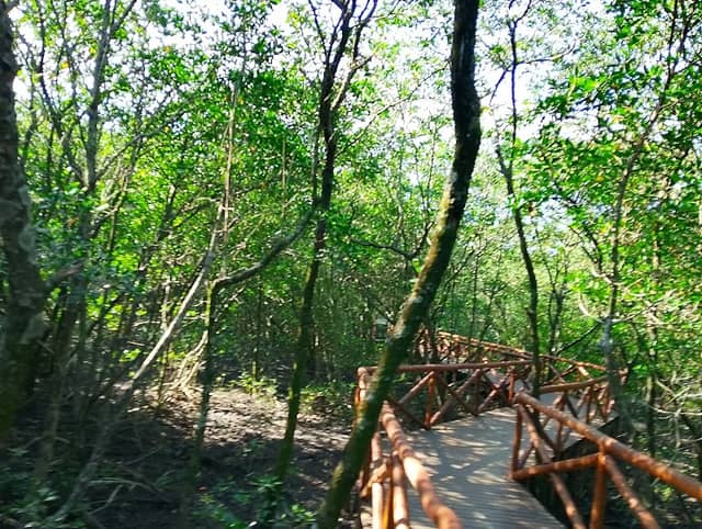 Parque Municipal Natural Barão de Mauá - Image 1