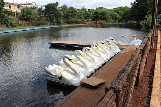 Pedalinhos Parque do Mocambo - Image 1