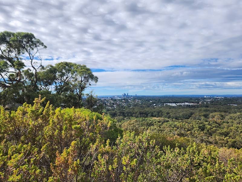Reabold Hill Summit Lookout - Image 2