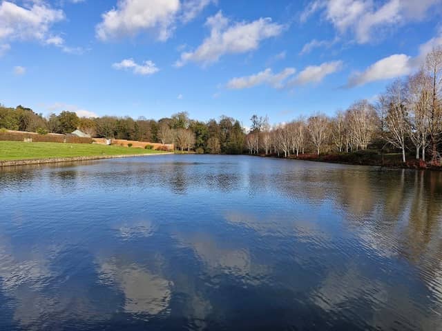 Markshall Arboretum - Image 1