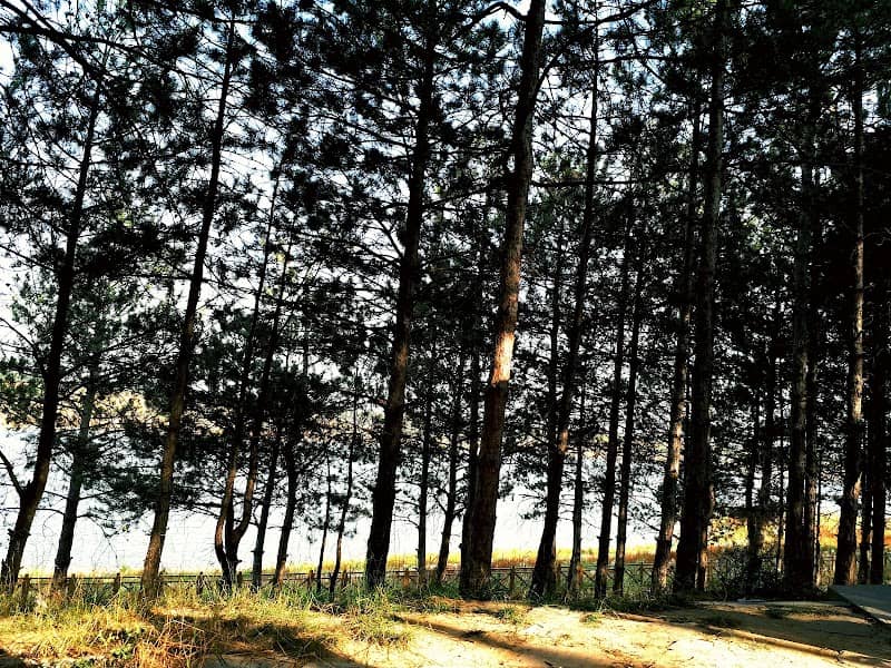 Atatürk parkı - Image 1
