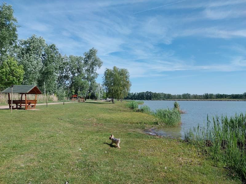 Vadkerti/tó tanösvény - Image 2