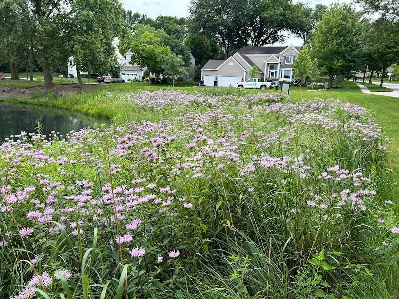 Lake Drive South Preserve - Image 2