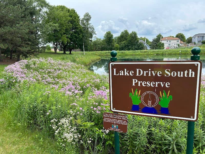 Lake Drive South Preserve - Image 1