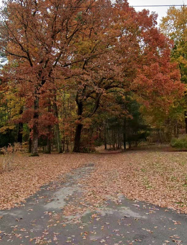 Parliament Trail Franklin MA - Image 1