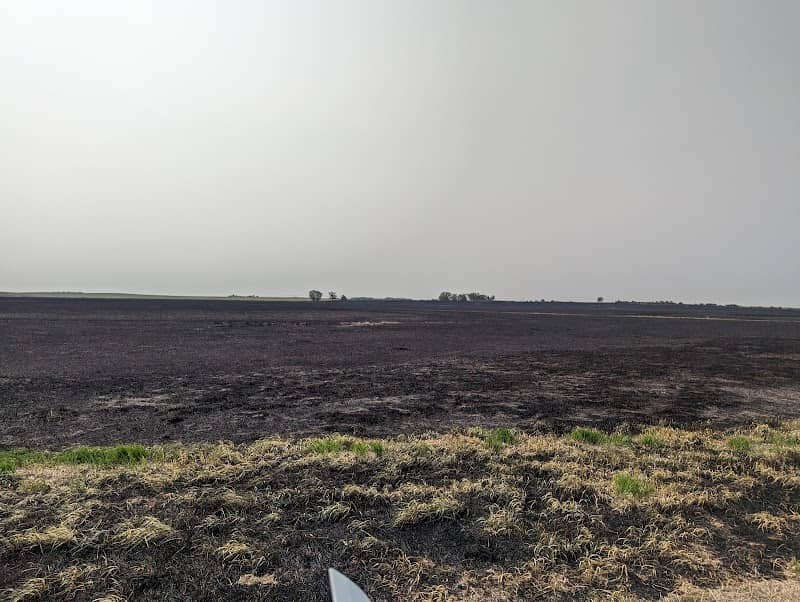 County Line Waterfowl Production Area-York County - Image 1