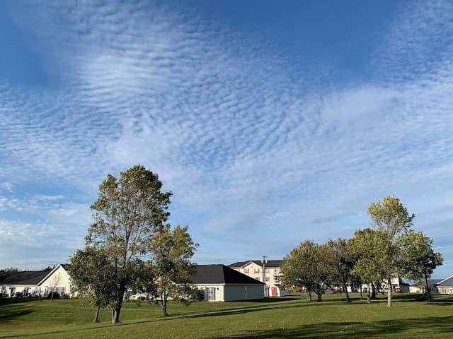 Tower Street Park - Image 1