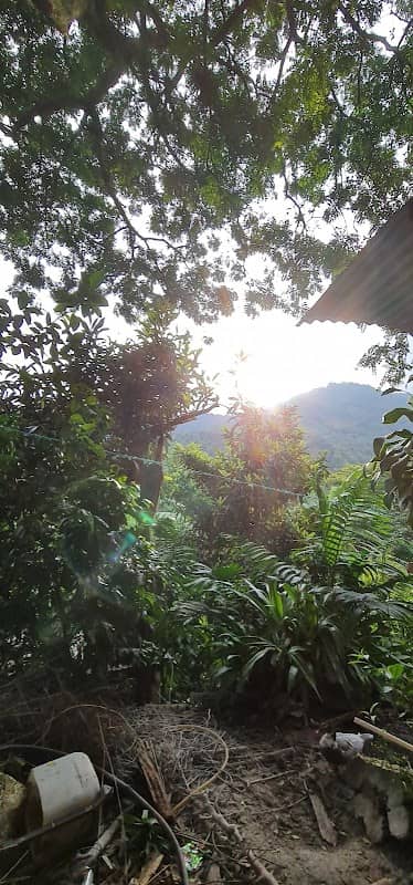 Aguas caliente - Image 1