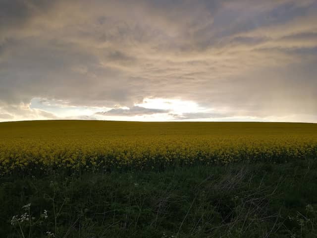 Spor Møllebakken - Image 1