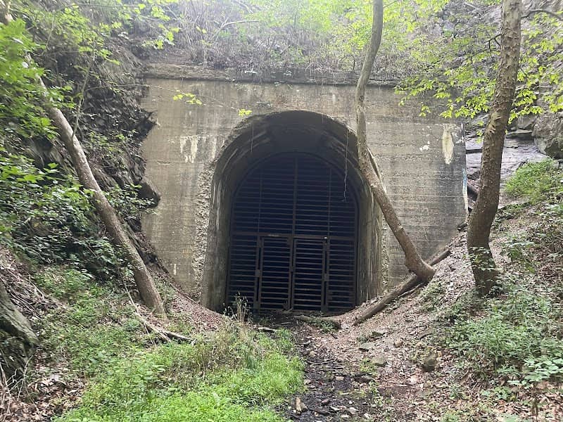 Indigo Tunnel - Image 1