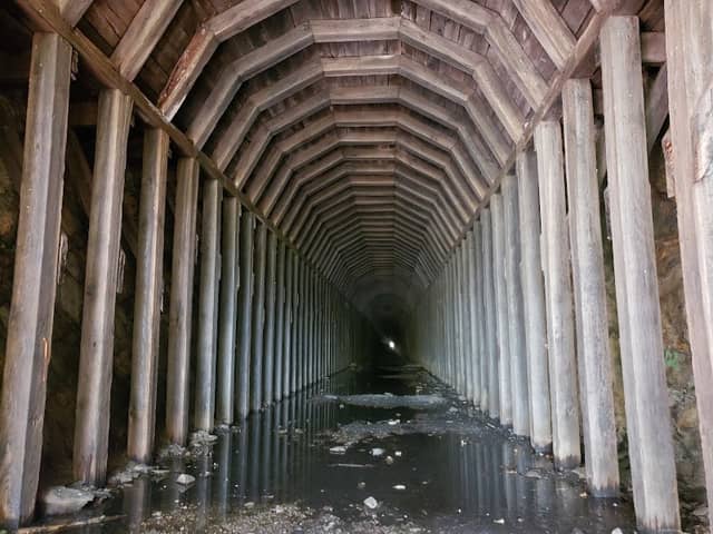 Indigo Tunnel - Image 2