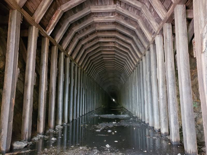 Indigo Tunnel - Image 2