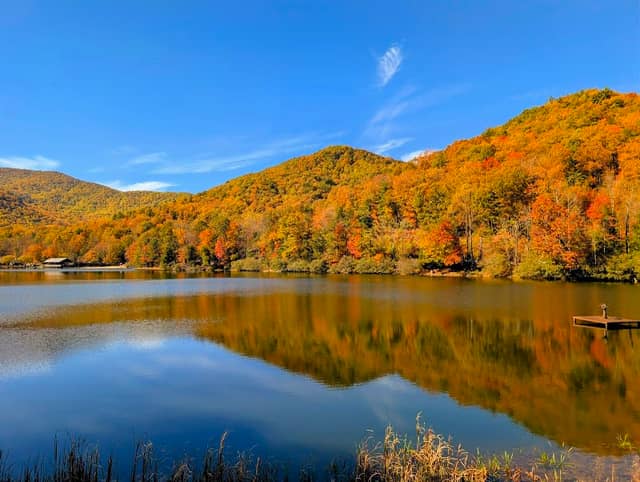 Vogel State Park - Image 3