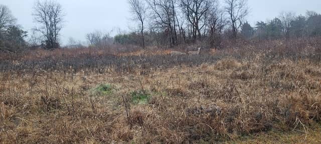 Liberty Grove CampGround - Image 1