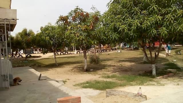 Puerta de Oro Park - Image 1