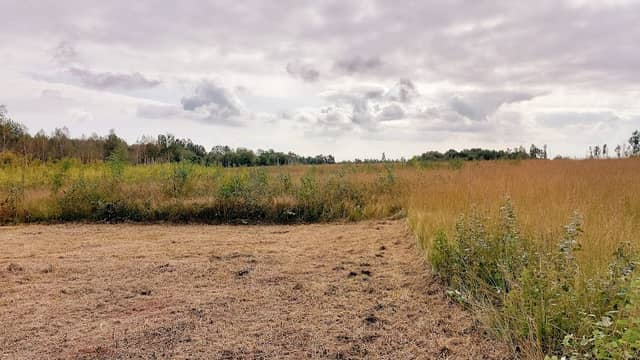 Riserva Naturale della Vauda - Image 1