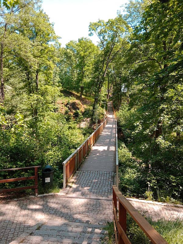 City park - Image 1