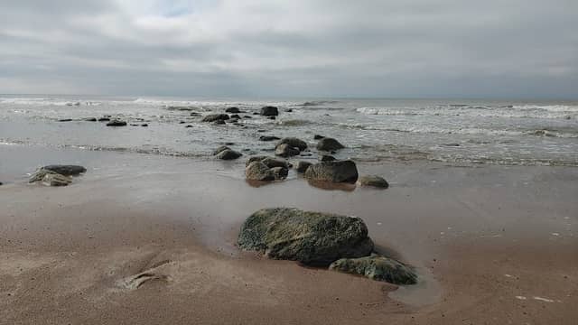 Gelbėtojų bokštelis “AUSKA” - Image 1