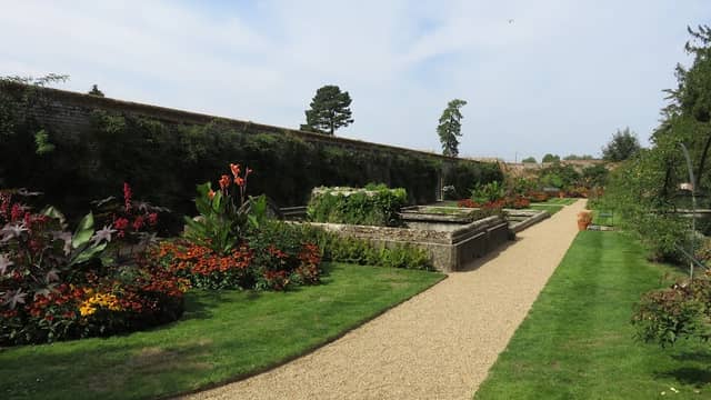 Pond Garden - Image 1