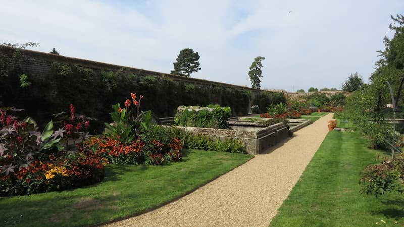 Pond Garden - Image 1