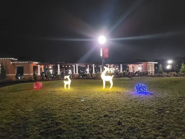 Forest City Christmas Lights - Image 1