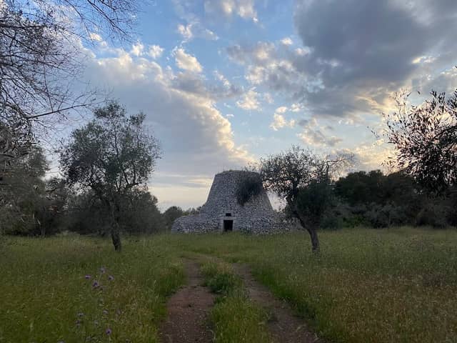 Pajara - Image 1