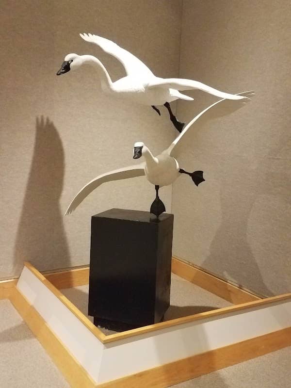 The Ward Museum of Wildfowl Art - Image 2