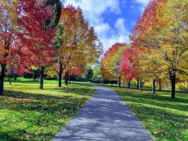 Seasons Park - Image 1