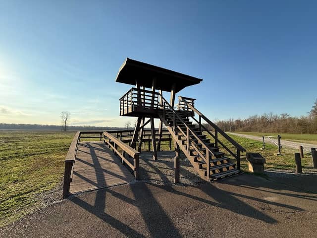 Observation Tower - Image 3