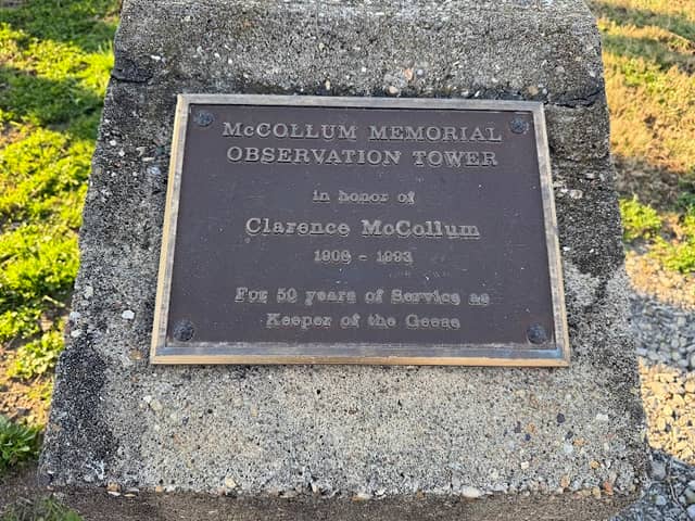 Observation Tower - Image 1