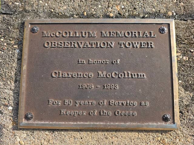 Observation Tower - Image 2