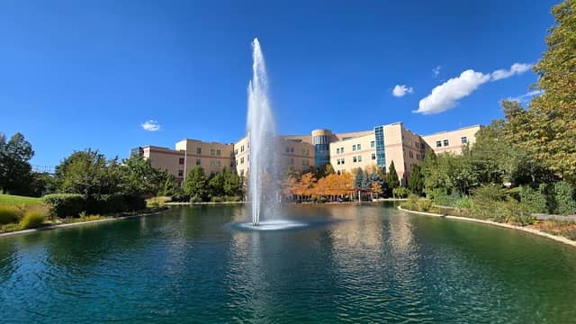 Healing Pond - Image 2