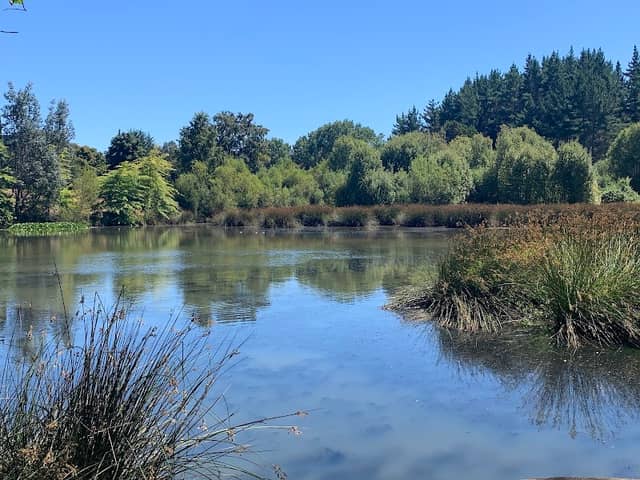 Laguna Fundo El Carmen - Image 1