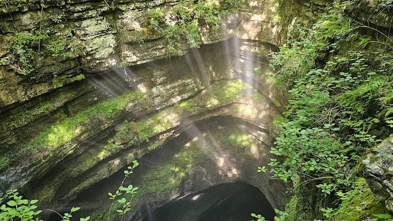 Neversink Cave Preserve - Image 1