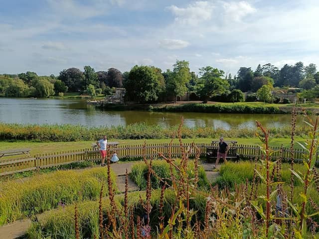 Water Maze - Image 1