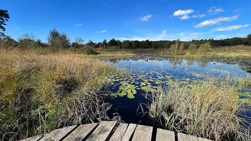 Adderpad meinweg - Image 1