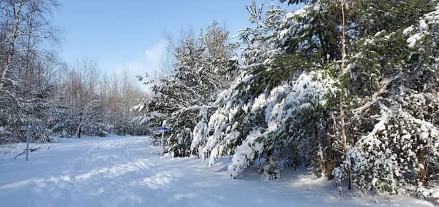 Lambert Park - Image 2