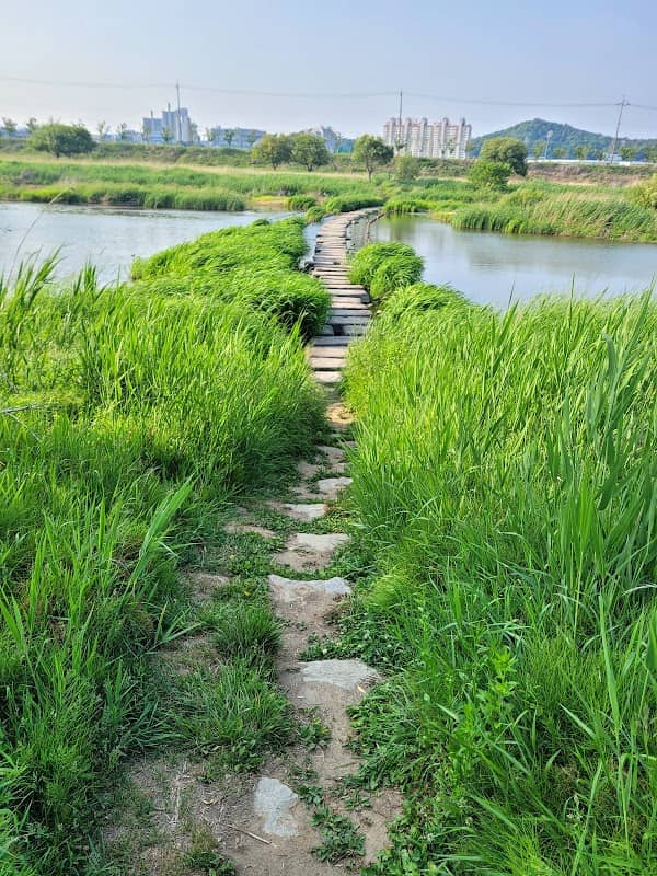 금능공원 - Image 1