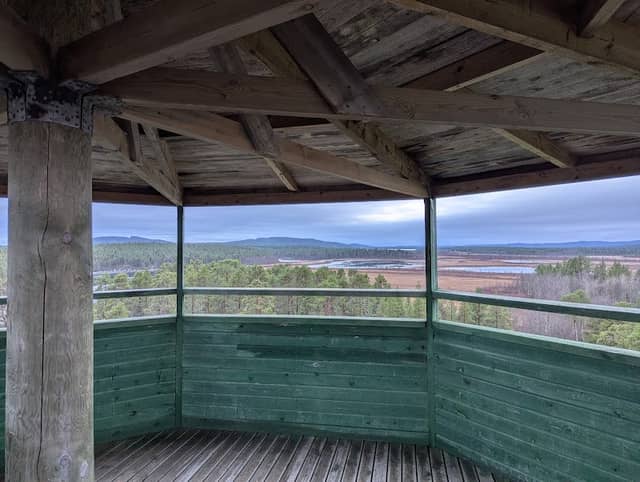 Toivoniemi Bird Watching Tower - Image 1