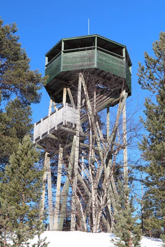 Toivoniemi Bird Watching Tower - Image 3