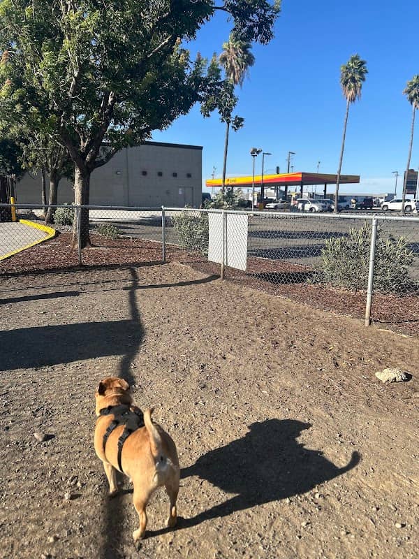 Dog Park at Love's Travel Stops - Image 1