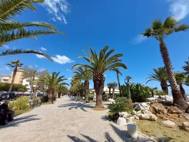 San Benedetto del Tronto Riviera delle Palme - Image 1