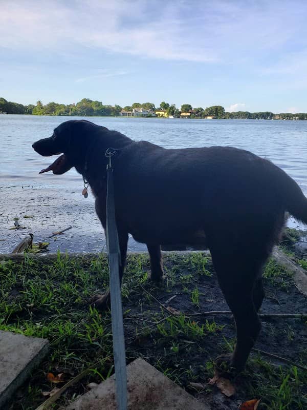 John Hudson Park - Image 1