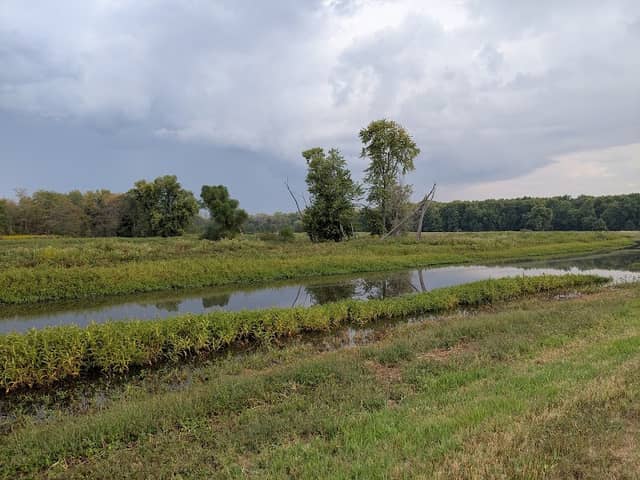 Salt Creek Wetland Project - Image 1