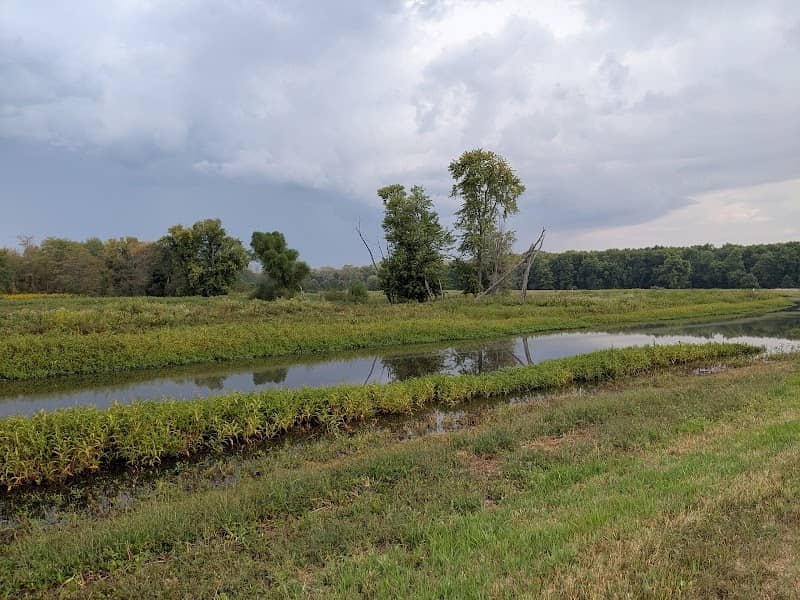 Salt Creek Wetland Project - Image 1